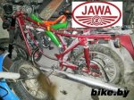 Jawa  photo