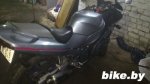 Suzuki RF600 photo