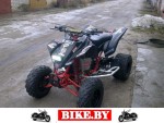 Suzuki QuadSport photo 2