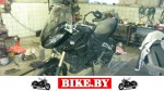 Triumph Tiger photo