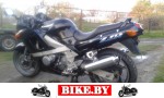 Kawasaki ZZR photo 4