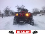 Stels ATV photo 6