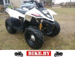 Stels ATV photo