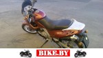 Aprilia Pegaso photo 2