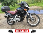 Aprilia Pegaso photo