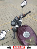 Honda NTV photo 6