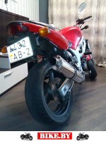 Suzuki SV photo 6