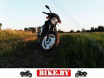 Honda VTR photo